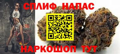 стаф Пенза