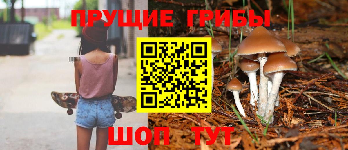 Новосибирск  Галлюциногенные грибы Cubensis  Вход с VPN  Галлюциногенные грибы Psilocybe 