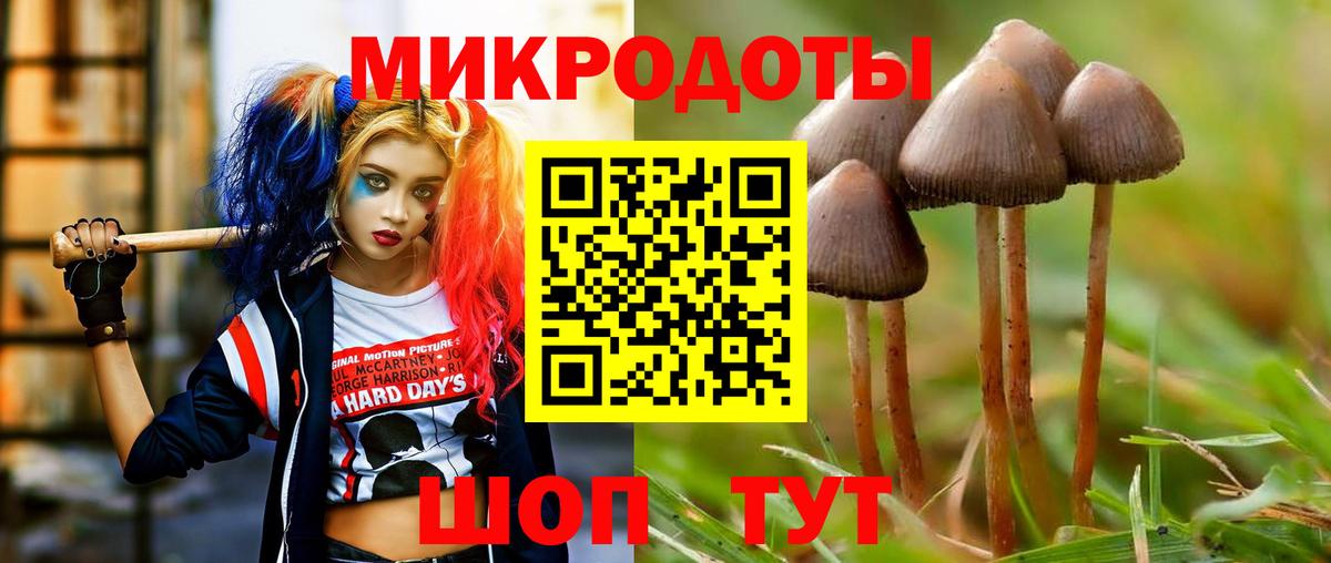 Галлюциногенные грибы Psilocybe Новосибирск